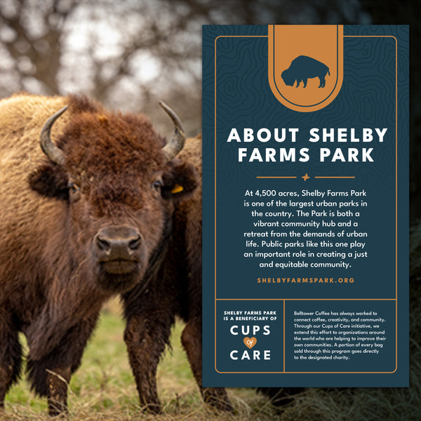 Buffalo Brew